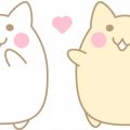 【猫 飼育 豆知識】オス猫の去勢、するかしないか迷っちゃう!どっちが良いの!?